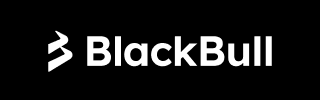 BlackBull Markets Review