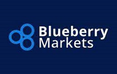 Blueberry markets